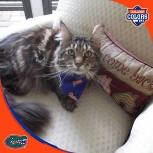 Meet your Posher, Marianne